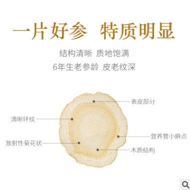 参类滋补品吉林长白山西洋参切片东北0.8cm西洋参中小片500克批发图2