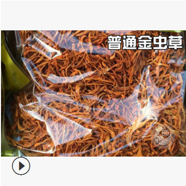 大孢子头金虫草 辽宁蛹虫草 北虫草花 干货冬虫草散装滋补品批发图3