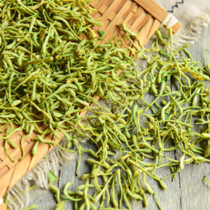 OEM贴牌金银花茶厂家直销瓶装无硫磺精选河南二花批发零售花草茶图3