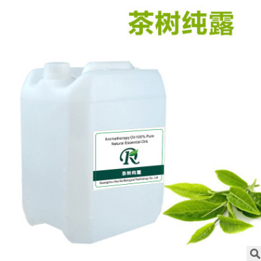 天然茶树纯露 平抚油肌平衡油脂收缩毛孔 纯露花水精油批发厂家图3