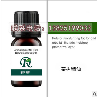 茶树单方精油10ML 原料厂家精油批发OEMODM代加图3