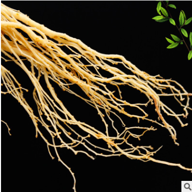 产地批发鲜参白参160-170g泡酒煲汤吉林长白山鲜人参保鲜参真空装图3