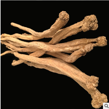 批发岷县党参条 甘肃特产无硫党参中药材源产地批发图2