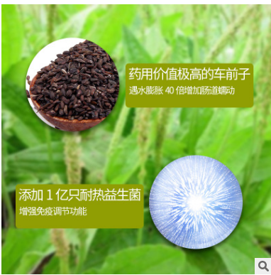 厂家直销嘟嘟韩圆苞车前子壳益生菌粉120g12盒1箱直销批发分销图2