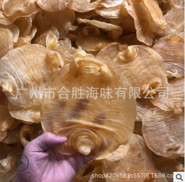 白鳘赤嘴胶 花胶 3头赤嘴鱼肚 批发鳘鱼胶 干货海味 一件代发图3