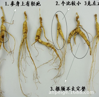 厂家直销优质无硫黄芪 现货批发 规格齐全 量大价优图3