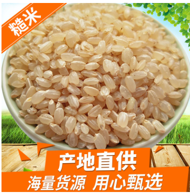 糙米 东北胚芽糙米玄米糙米饭糊卷原料健身炒米散装新米杂粮批发