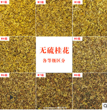 【厂家批发】 桂林特产花草茶 桂花茶 干桂花 W2级 无硫桂花干花图2