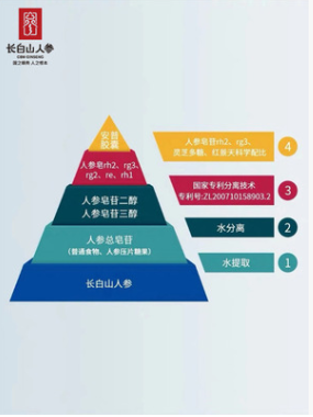 安普胶囊 人参皂苷rh2rg3 灵芝多糖 红景天苷 50粒/瓶*1瓶图3