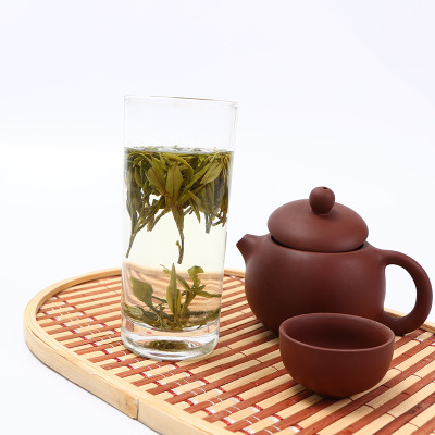 东白湖茶500g袋装 2018年雨后春茶新茶叶自然原生态绿茶厂家批发图2