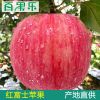 【红富士】陕西红富士苹果 现摘新鲜水果红富士脆甜多汁 产地包邮