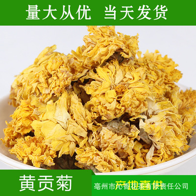 批发供应花草茶黄贡菊500g正宗黄菊花茶 黄山贡菊一件代发图2