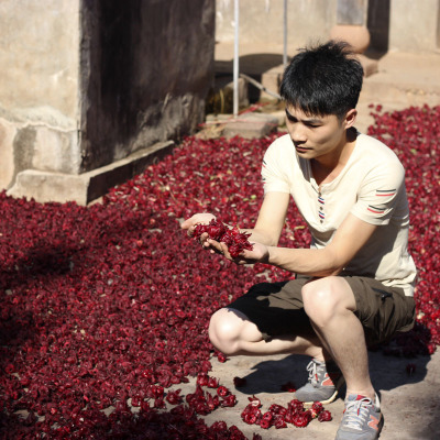 产地大货批发云南金边玫瑰花茶无硫散装2020年新花新货金边小玫瑰图2