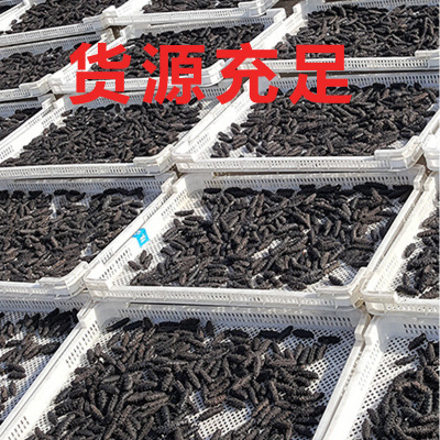 大连广岛非即食海参鲜活刺参干货野生淡水海参500g礼盒一件代发图2