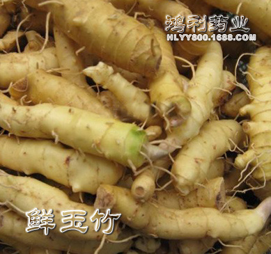 新鲜玉竹 尾参 酒店煲汤食材 种植基地直销 无公害栽培图3