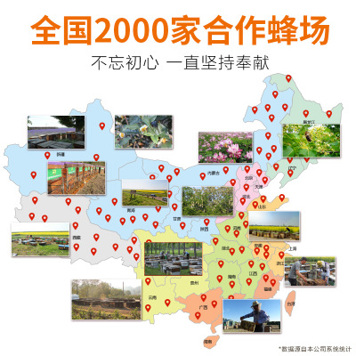 厂家直销 蜂献农家自产天然土蜂蜜500g一件代发蜂蜜贴牌oem代工图3