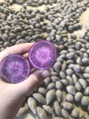 正宗越南进口珍珠紫薯沙地现挖紫皮番薯地瓜板栗味珍珠蜜薯包邮！图3