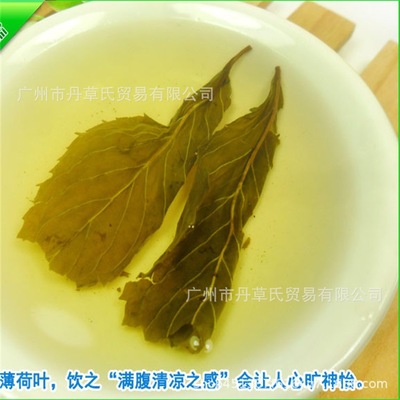 薄荷叶 散装批发清凉茶 厂家批发花草茶量大从优另有薄荷粉500克图2