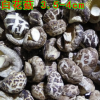 白花菇4-5cm 剪脚厚冬菇 肉厚味香 香菇产地批发供应