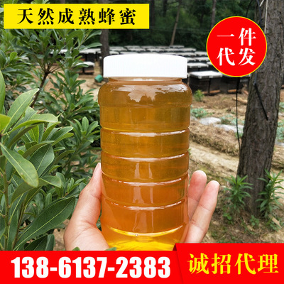 鑫蜂园 洋槐蜂蜜41.5度刺槐蜜槐花百花蜂蜜荆条蜂蜜 1公斤批发图2