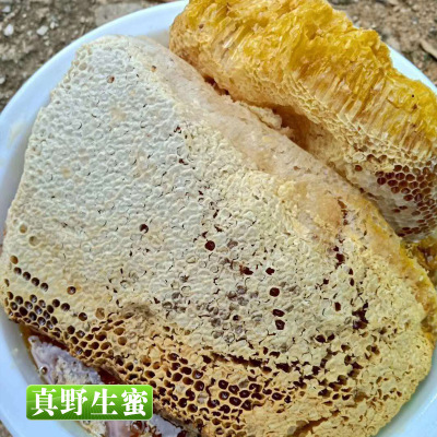 云南野生土蜂蜜农家特产 蜂巢洋槐蜜黑蜂蜜500g瓶装百花蜜批发图3