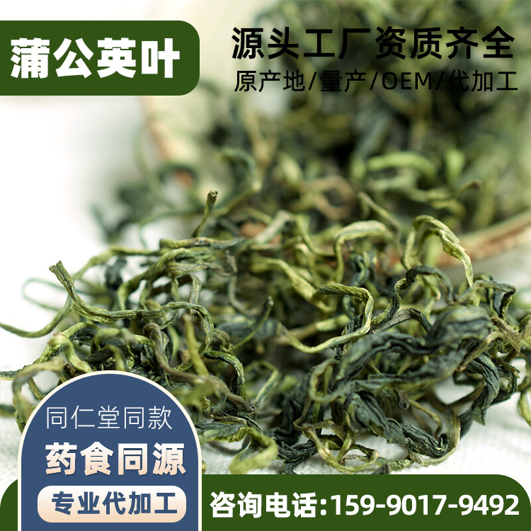 野生蒲公英叶茶婆婆丁 蒲公英茶OEM贴牌定制花茶代加工图3