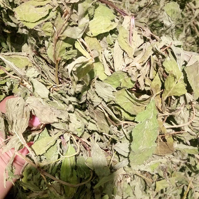 批发供应花草茶薄荷叶茶薄荷叶颗粒茶OEM贴牌加工中药材批发图3