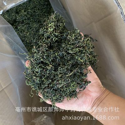 一手货源 蒲公英茶 新货蒲公英 婆婆丁 干蒲公英跑江湖展销摆地摊图2