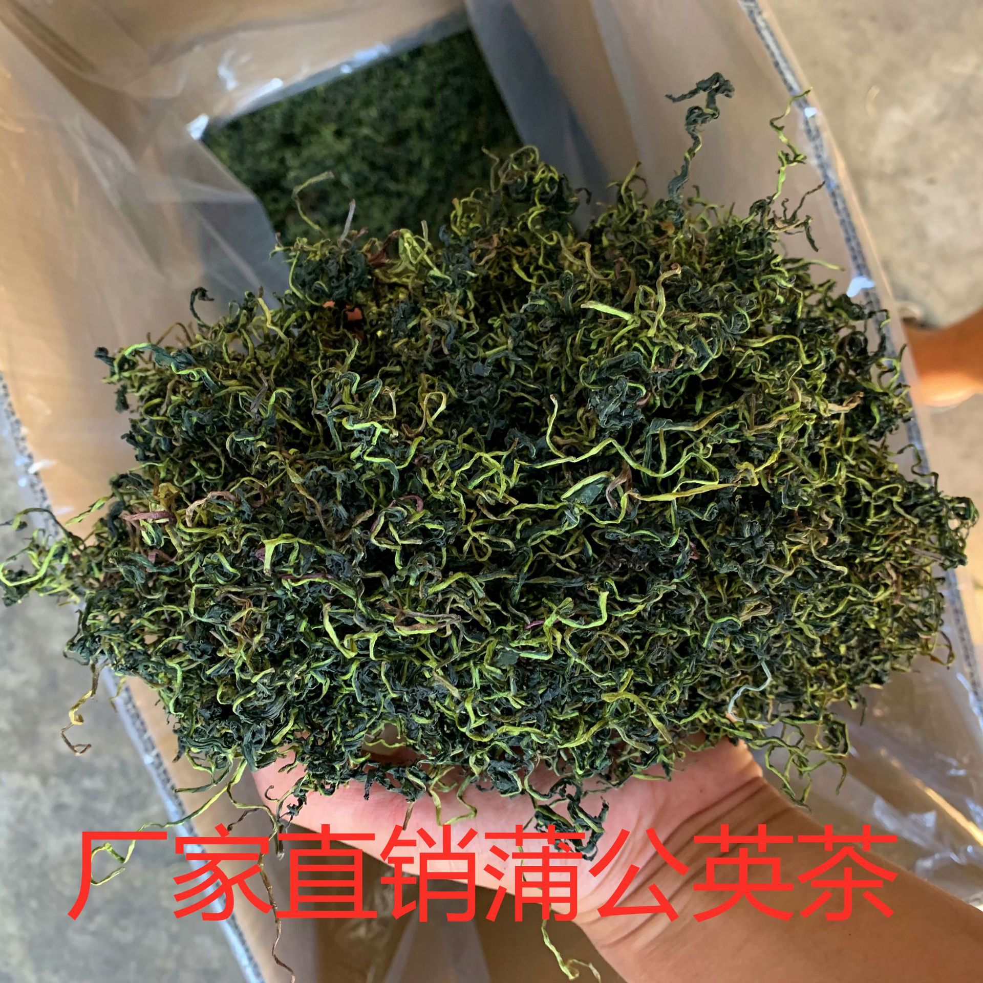 一手货源 蒲公英茶 新货蒲公英 婆婆丁 干蒲公英跑江湖展销摆地摊图3