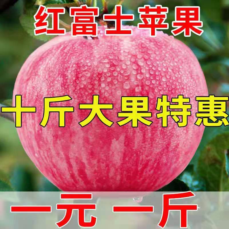 山西冰糖心红富士苹果当季水果新鲜应季脆甜多汁苹果10斤水果批发图3