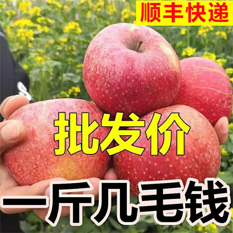 新鲜红富士苹果山西苹果批发10斤装脆甜糖心苹果孕妇生鲜水果代发图3