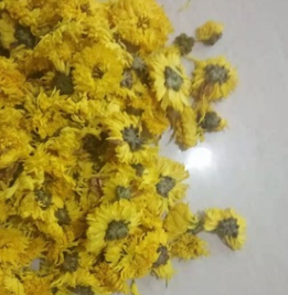 250克 菊花天然无杂质 Yellow Baked Chrysanthemum图2