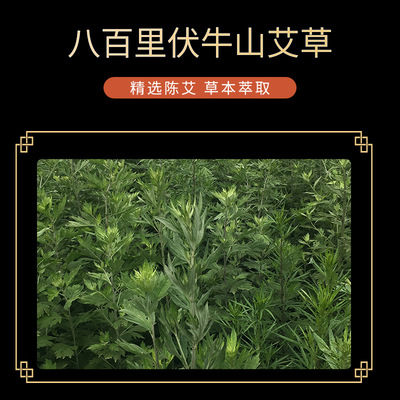 南京同仁堂生物科技 艾草足浴包八味草本泡脚足浴粉 艾叶泡澡包图2