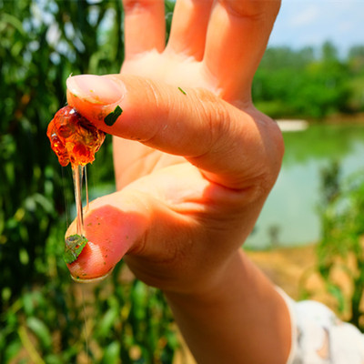 食用桃胶皂角米雪燕拉丝伴侣甜品桃浆桃花泪产地货源批发图2