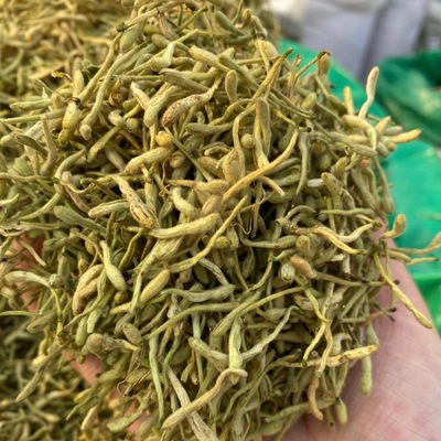 批发供应 散货金银花 河南封丘金银花茶 湖南二花茶各种规格图2