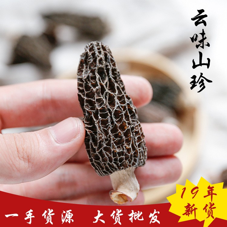 云南干羊肚菌2020年云南大个剪柄羊肚菌干货肉厚干净香味散装起批图2