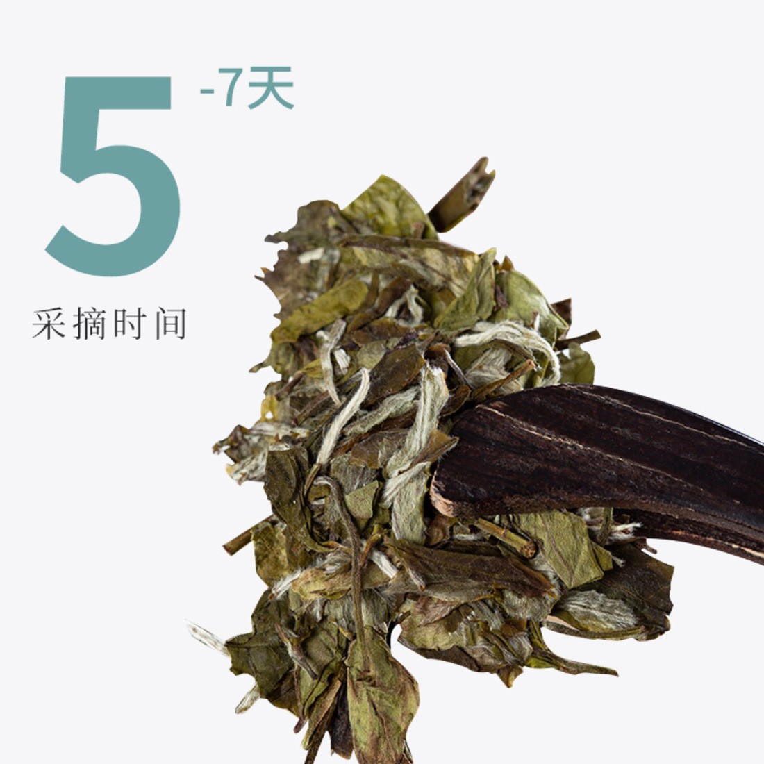 虎年礼盒装福鼎白茶花香白牡丹300g高山白茶饼茶饼散茶批发图5