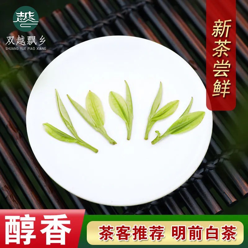 双越飘乡茶叶明前绿茶凤形白茶黄金芽2021新茶厂家现货批发散装图2