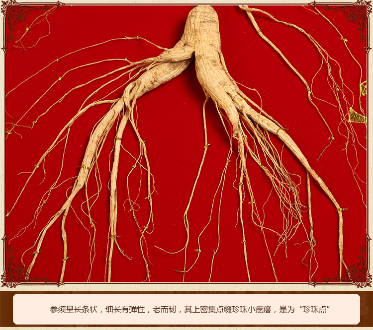 东北人参礼盒装野参林下参野山参白人参