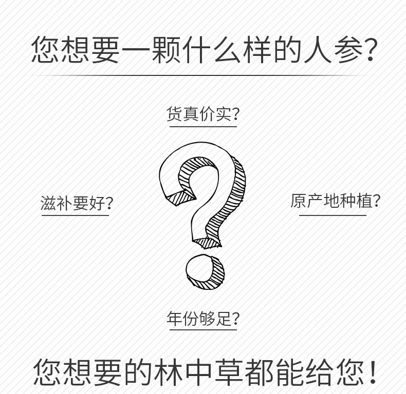 白参多钱一克,长白山人参鲜参,原皮生晒参白参干人参