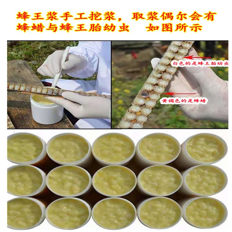 农家自产蜂黄浆 现货供应瓶装蜂王浆 500g新鲜云朵状蜂王乳图4