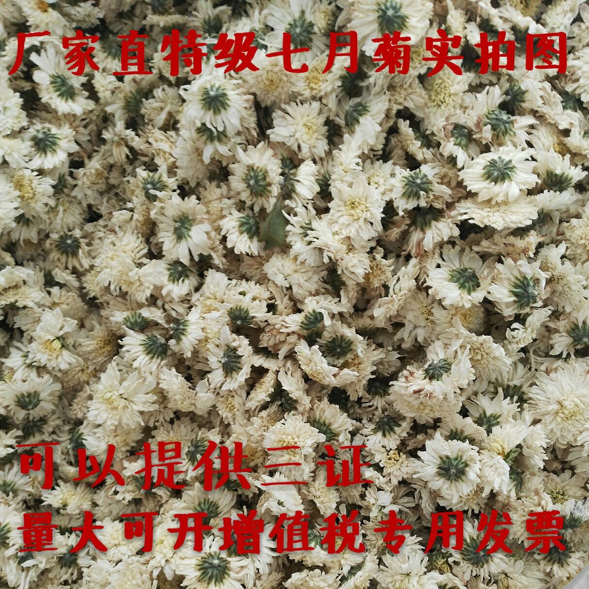 黄山贡菊七月菊批发花草茶安徽下杭白菊花火茶 新花上市厂家直销图4