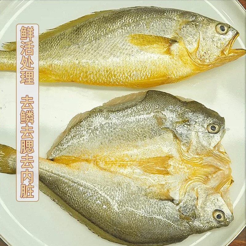 宁德大黄鱼鲞黄花鱼新鲜生鲜海鲜调味黄鱼鲞冷冻免杀免洗250g*5条图2