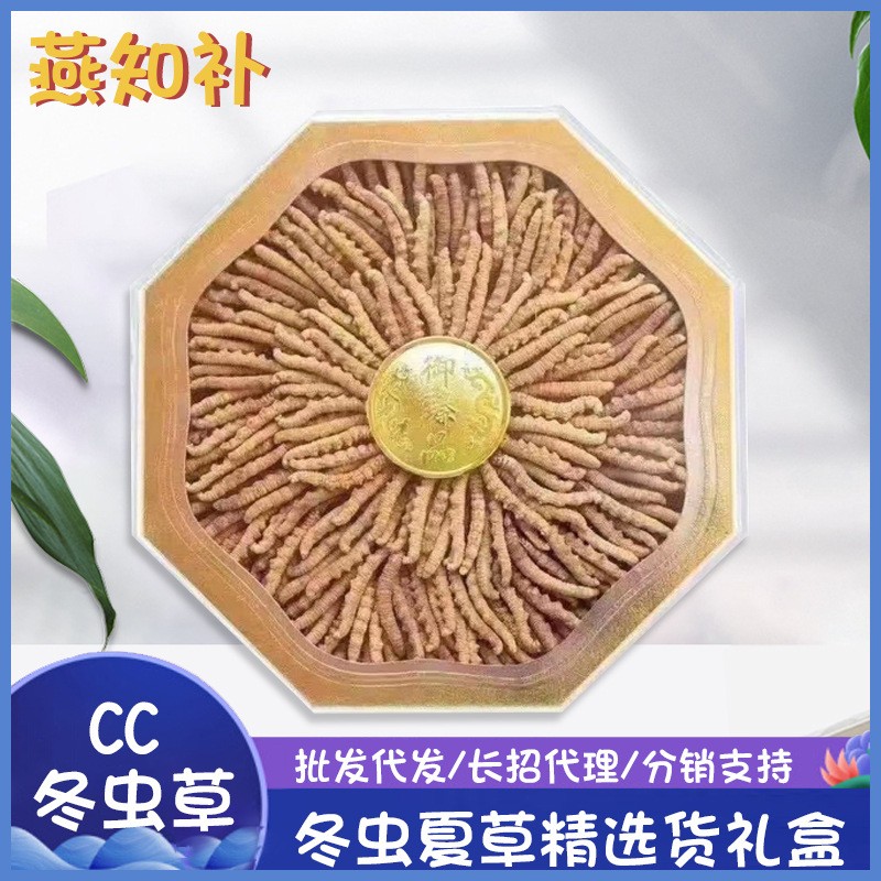 cc冻干虫草冬虫夏草东阳光研究所图5