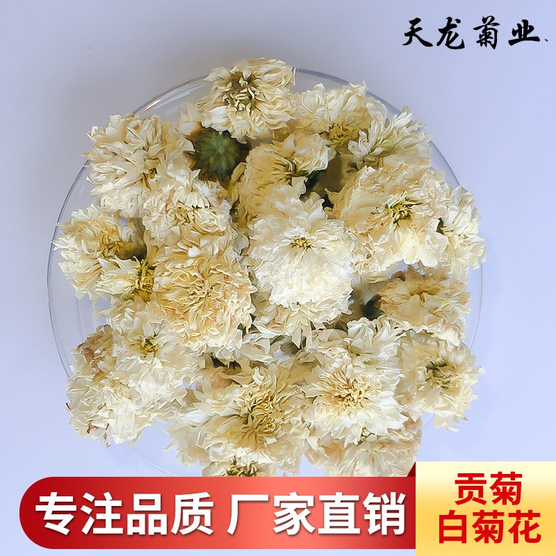 产地货源黄山贡菊 散装菊花茶七月菊太阳菊原料批发供应量大从优图2