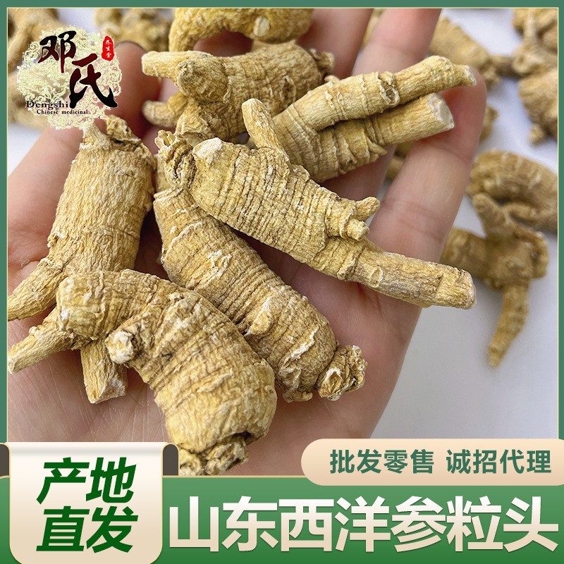 山东西洋参粒头500g 散装洋参批发 花旗参粒头规格齐全 产地直发图2