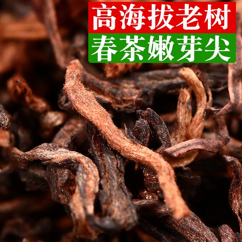 特级云南普洱茶金芽熟茶散茶500g陈年古乔树糯米香熟普洱熟茶批发图2