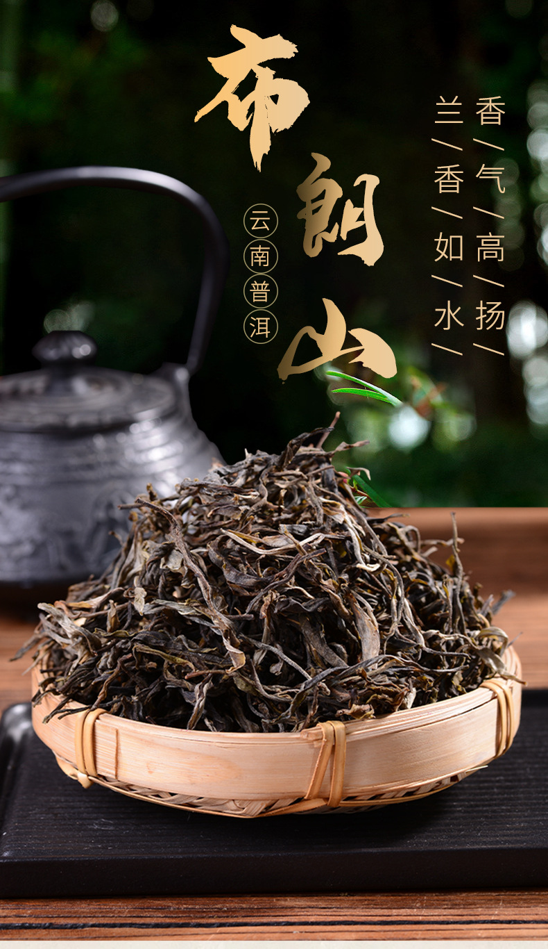 布朗山大树茶_01.jpg