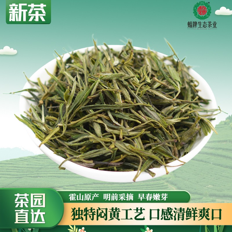 新茶霍山黄芽茶叶批发 产地厂家直销 支持一件代发黄芽茶图5