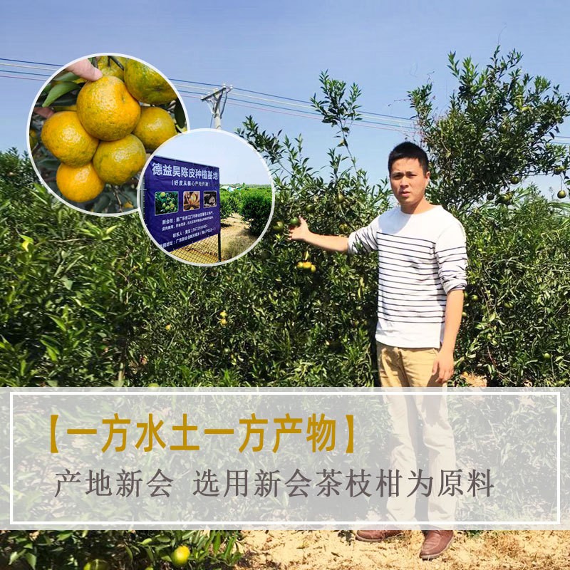 【德益昊】新会陈皮5年陈皮陈皮厂家药食同源5年梅江大红皮陈皮图3